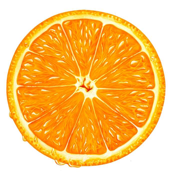 orange slice icon